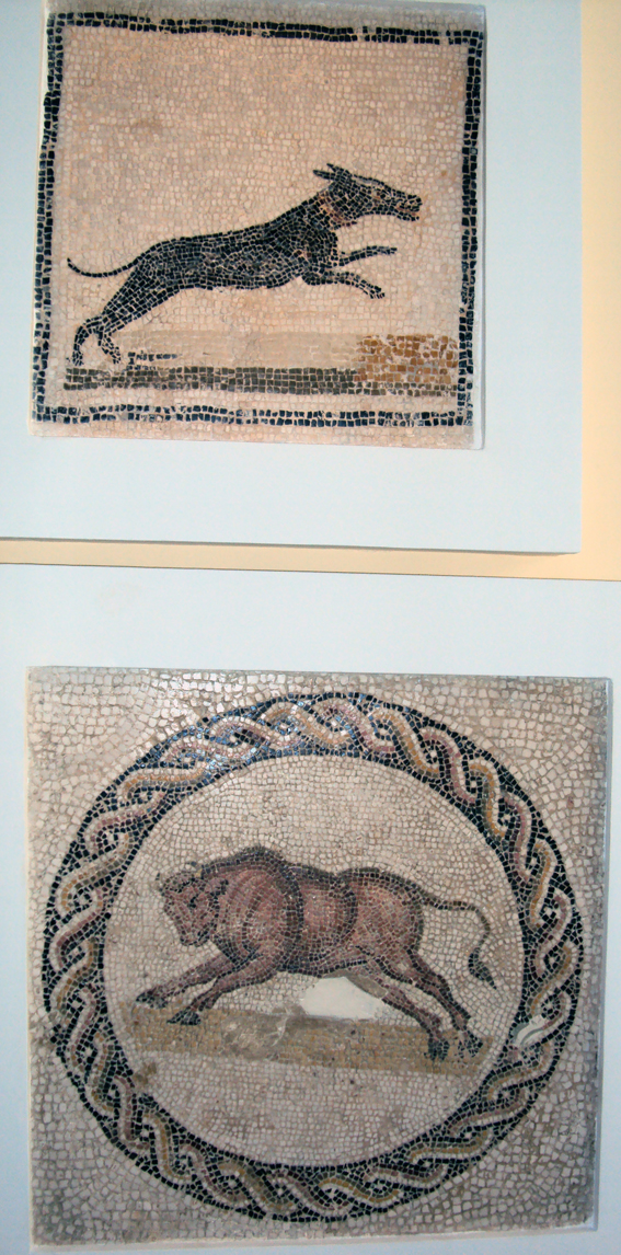 fr-mus-sousse-image015 Musée archéologique de Sousse