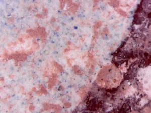 Fig.1-Observation-de-la-superposition-des-couleurs-sur-une-peinture-de-Dougga-300x225 Nesrine Nasr, Activités