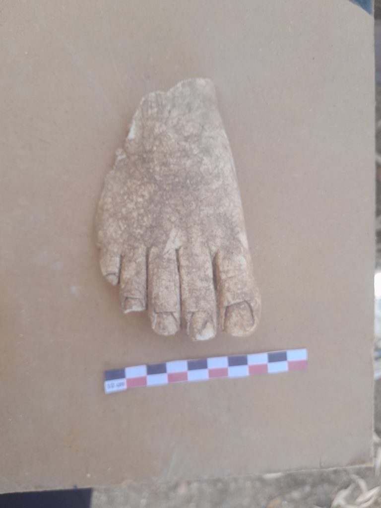 Fig.2-a-fragment-de-stuc-representant-un-pied-Hergla-768x1024 Nesrine Nasr, Activités