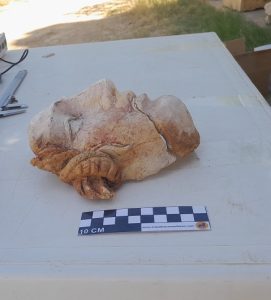 Fig.3-b-restitution-dun-masque-en-stuc-Eljem-271x300 Nesrine Nasr, Activités