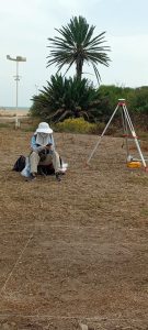 carthage7-135x300 A project to showcase the archaeological site of the Punic ports of Carthage