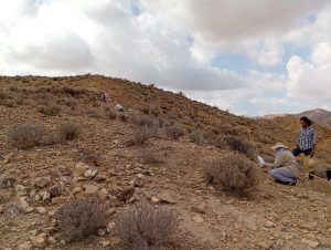 travaux_kr_kef6-300x226 The study of the protohistory of central-northern Tunisia