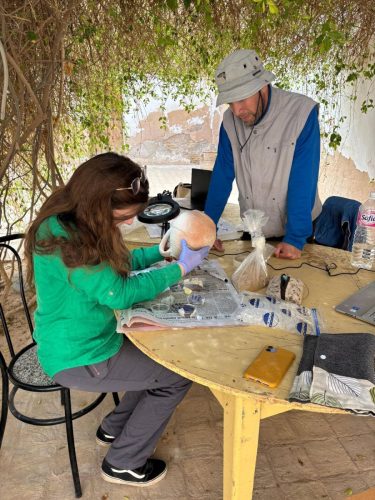 tozeur3 Archaeological research project at the Koustiliya site (Tozeur Governorate)