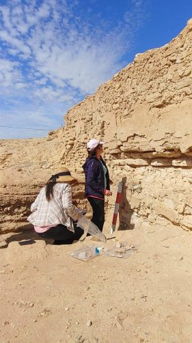 tozeur4 Archaeological research project at the Koustiliya site (Tozeur Governorate)